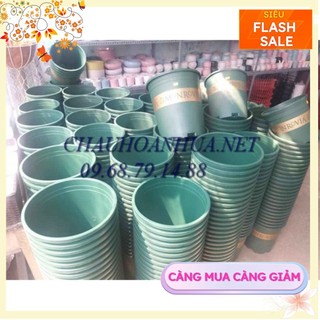 Combo HOT 5 chậu Monrovia, chậu hoa hồng 3GL đến 5GL hàng chất lượng