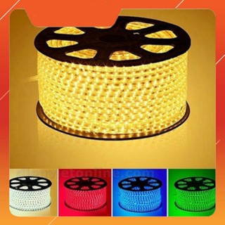 Combo 10 mét, 15 mét , 20 mét  Đèn Led Dây 2835 hai hàng bóng tặng dây nguồn