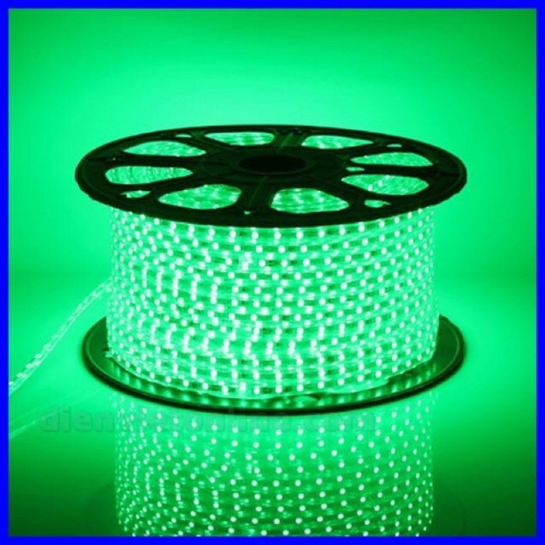 Combo 10 mét, 15 mét , 20 mét  Đèn Led Dây 2835 hai hàng bóng tặng dây nguồn