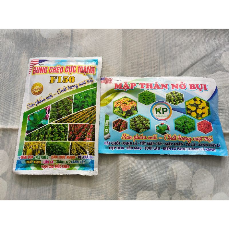 Cặp đôi bung chèo cực mạnh + mập thân nở bụi