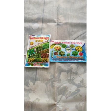 Cặp đôi bung chèo cực mạnh + mập thân nở bụi