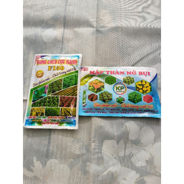 Cặp đôi bung chèo cực mạnh + mập thân nở bụi