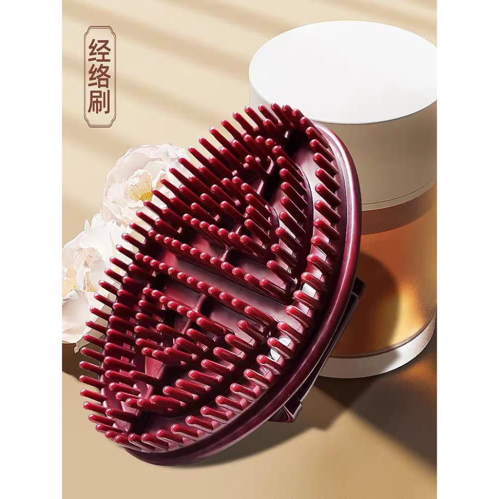 Bàn chà chải thông kinh lạc, Bàn Chải Massage BODY Thông Kinh Lạc và giảm béo