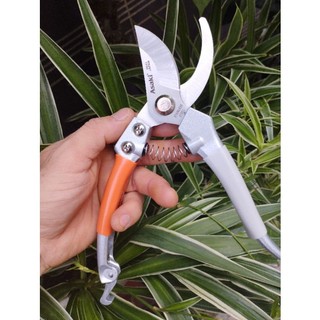 Kéo cắt cành cao cấp Asaki