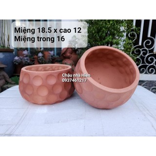 Chậu đất nung - chậu nồi thấp