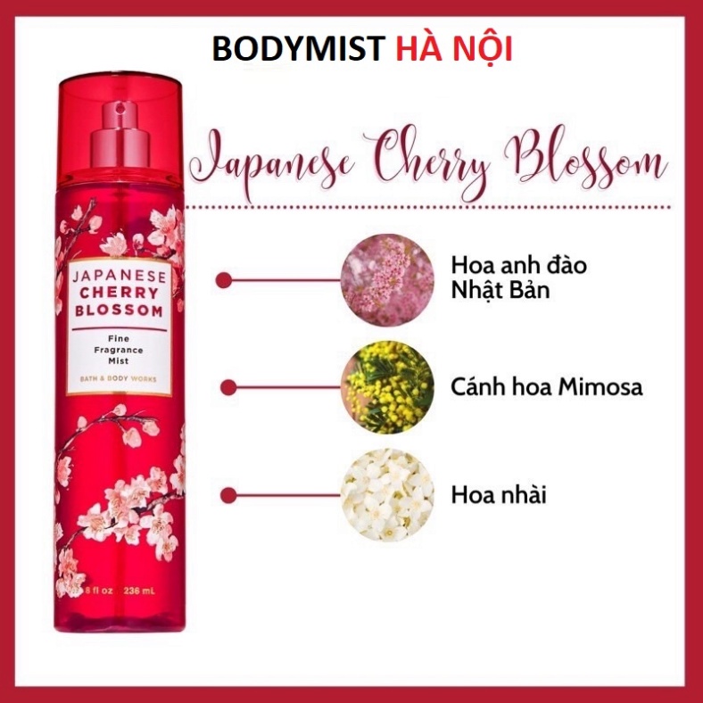 Body mist Japanese Cherry Blossom xịt thơm toàn thân - Bodymist Hà Nội