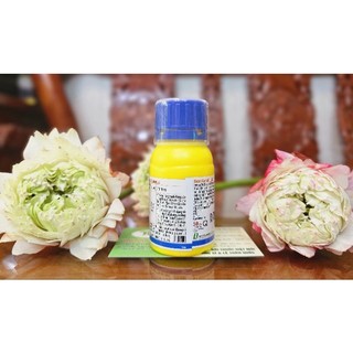 Thuốc mối không mùi Termize 200SC chai 50ml