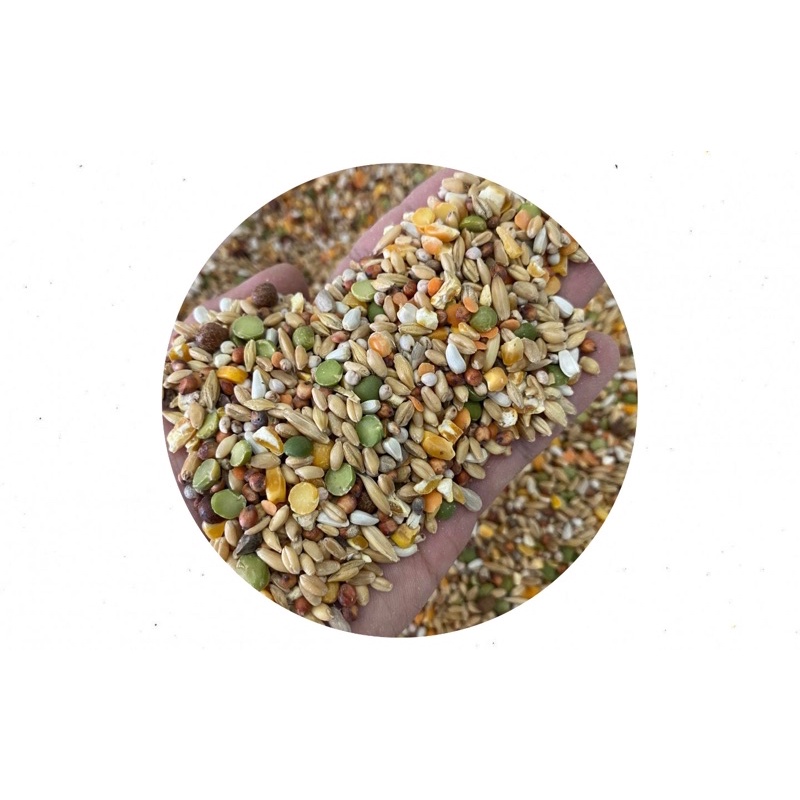 Cám siêu đạm dạng viên cao cấp 1kg - Thúc đẩy tạo cơ, tiêu mỡ