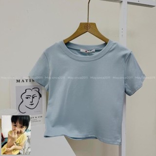 Set áo phông croptop may.since2011 trơn, form ôm body kiểu dáng basic dễ mặc mbf05-1529
