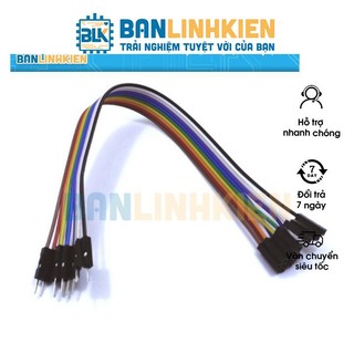 Combo 10 Sợi Dây Cắm Board Test Nhiều Màu 20CM Đực Cái
