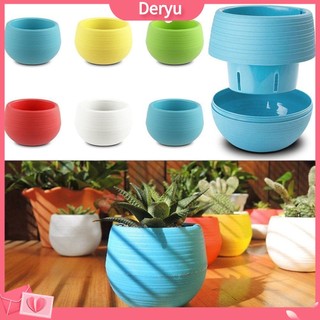 Chậu trồng cây mọng nước để bàn dễ thương trang trí nhà cửa/ sân vườn