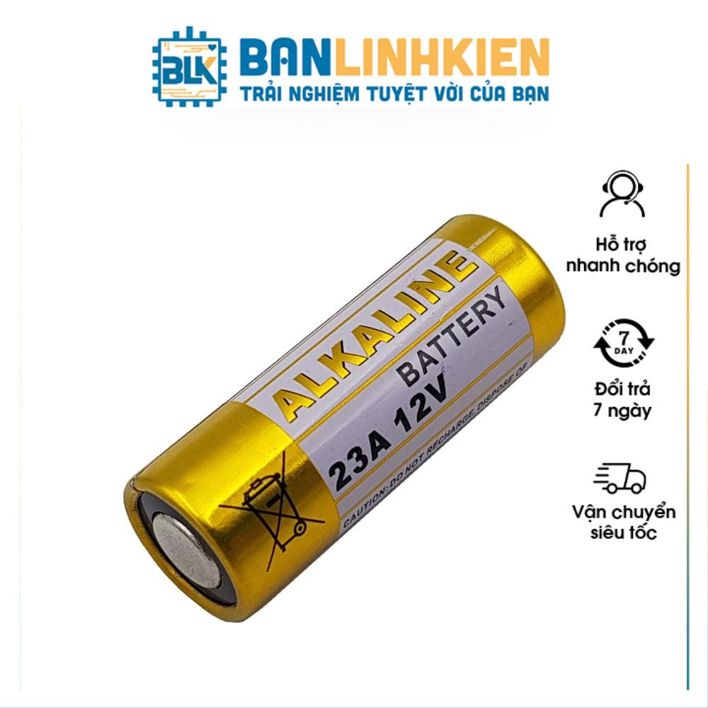 Pin 12V 23A