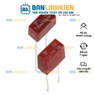 Cầu chì 2a 250v t2a250v loại vuông