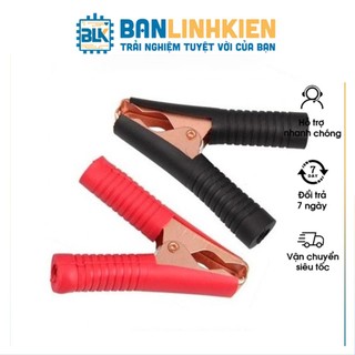 Bộ đầu kẹp acquy 100a