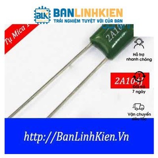 Tụ Mica Các Giá Trị ( Túi 10 con)