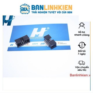 Đầu IDE10 Đực Thẳng 2.54MM