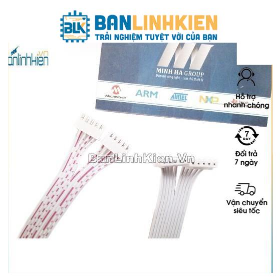 Dây Trắng XH2.54-4P, 5P, 7P, 8P, 9P