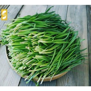 Hạt giống lá hẹ 100 hạt