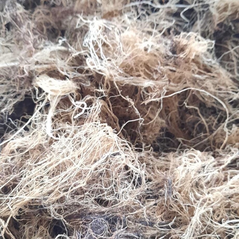 Rong chỉ vàng nấu sương sa,xu xoa 1kg,đã rửa sạch phơi khô