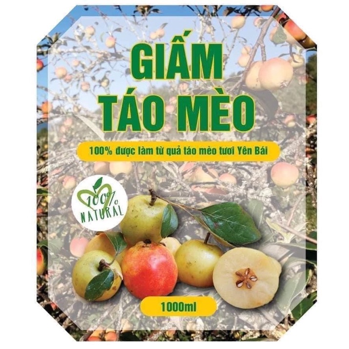 Giấm Táo Mèo Nguyên Chất Mù Cang Chải Yên Bái chuẩn không pha loại 1 lít Dấm táo