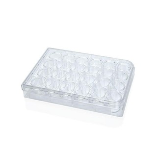 Đĩa nhựa - đĩa nuôi cấy tế bào 6 giếng, 12 giếng, 24 giếng,48 giếng, 96 giếng
