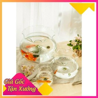 Bể cá thuỷ tinh nuôi cá HB01 *BAO BỂ VỠ*