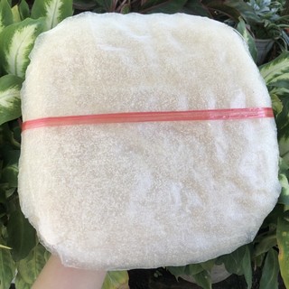 Bánh tráng nhúng giòn Bình Định 50 cái