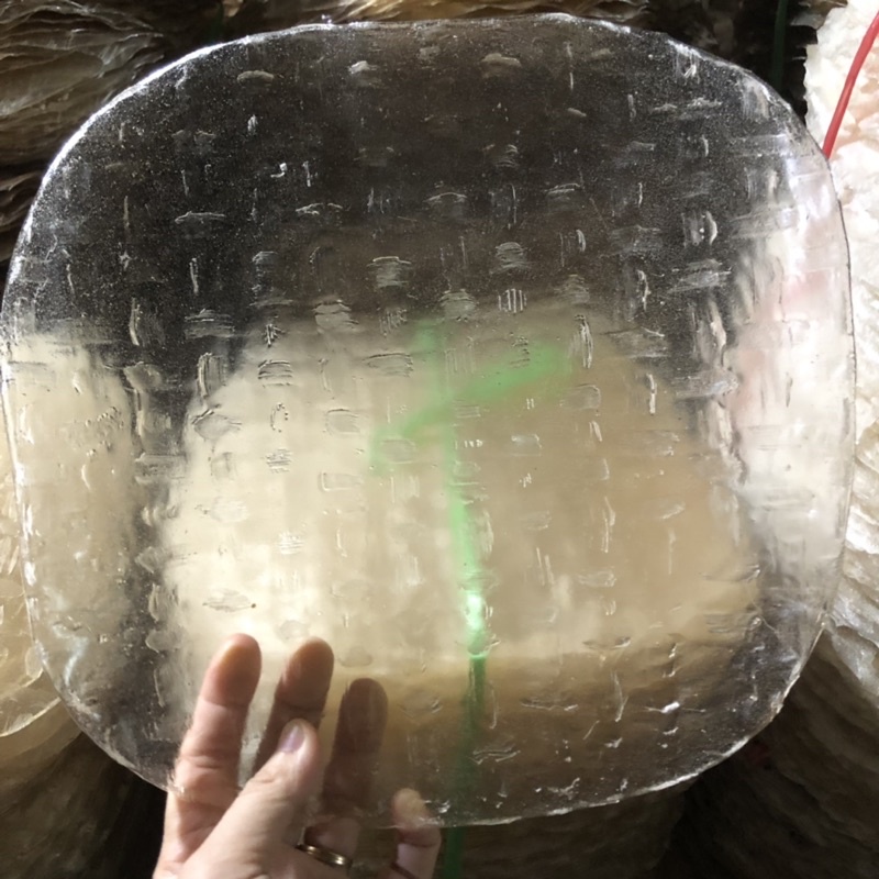 10 Bánh tráng bột mì nhứt dày loại để nướng ~ 800gr