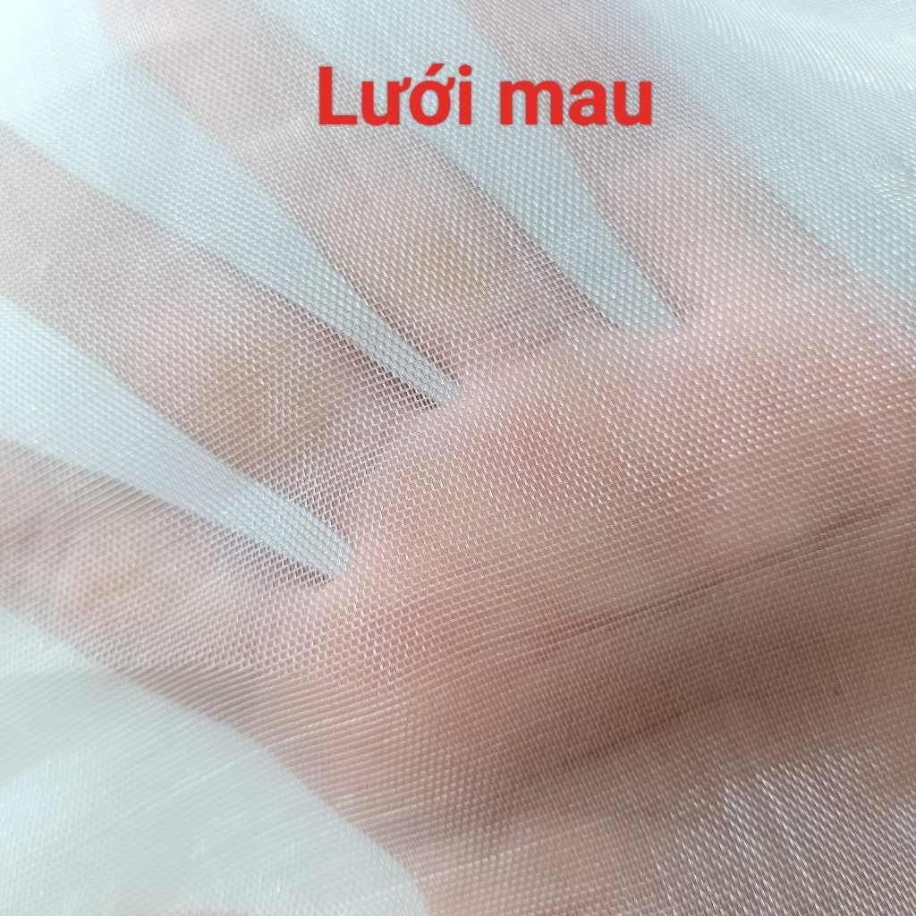 Vợt bắt cào cào, châu chấu, côn trùng chuyên dụng