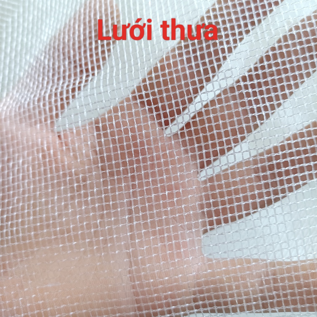 Vợt bắt cào cào, châu chấu, côn trùng chuyên dụng