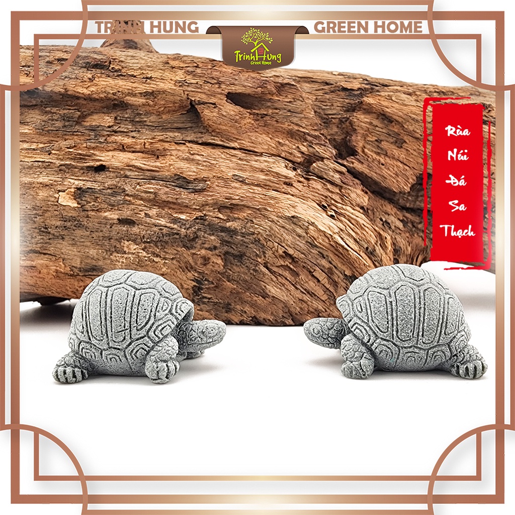 Rùa núi đá sa thạch - trang trí tiểu cảnh,bán cạn, terrarium,bonsai