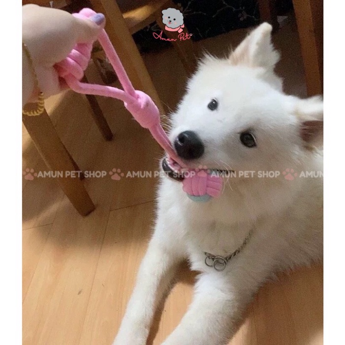 DÉP NAM NỮ TOMMY KHÔNG NGẤM NƯỚC CHẤT ĐẸP dép trend quai ngang ĐI SIÊU ÊM CHÂN THOÁNG KHÍ