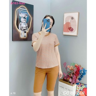 Bộ Lửng Thun Gân A163 - Đồ Bộ Suli