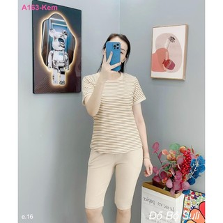 Bộ Lửng Thun Gân A163 - Đồ Bộ Suli
