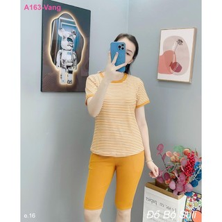Bộ Lửng Thun Gân A163 - Đồ Bộ Suli