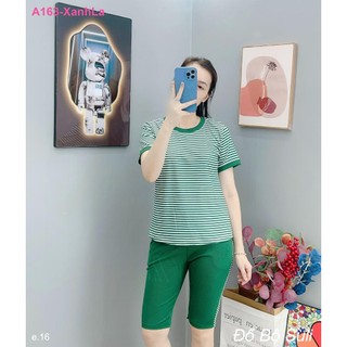 Bộ Lửng Thun Gân A163 - Đồ Bộ Suli