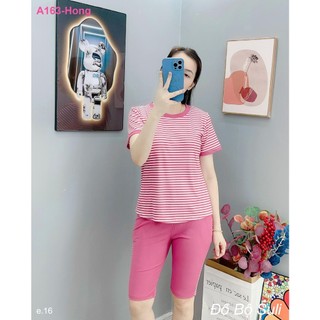Bộ Lửng Thun Gân A163 - Đồ Bộ Suli