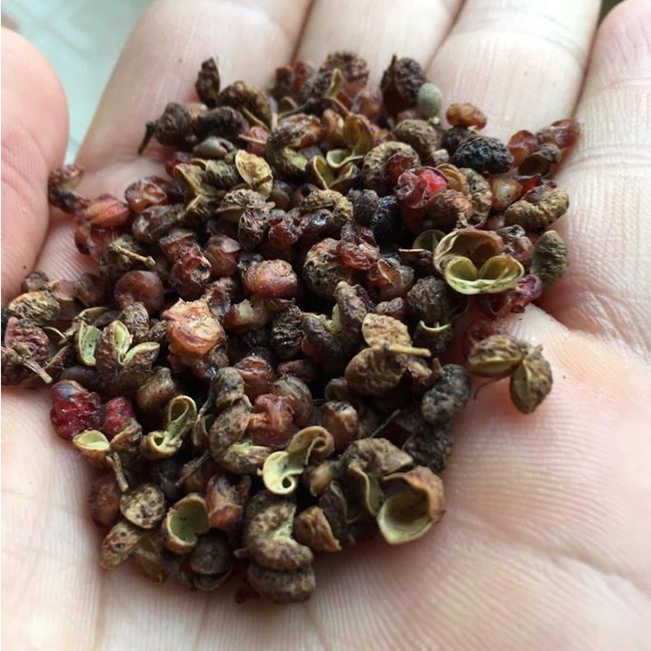 Hạt tê, hoa tiêu gia vị tứ xuyên nấu món ăn trung quốc