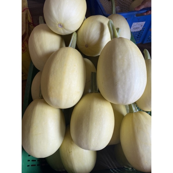 Quả Bí sợi mì - sản phẩm Dinh dưỡng, healthy từ Đà Lạt - 1 quả