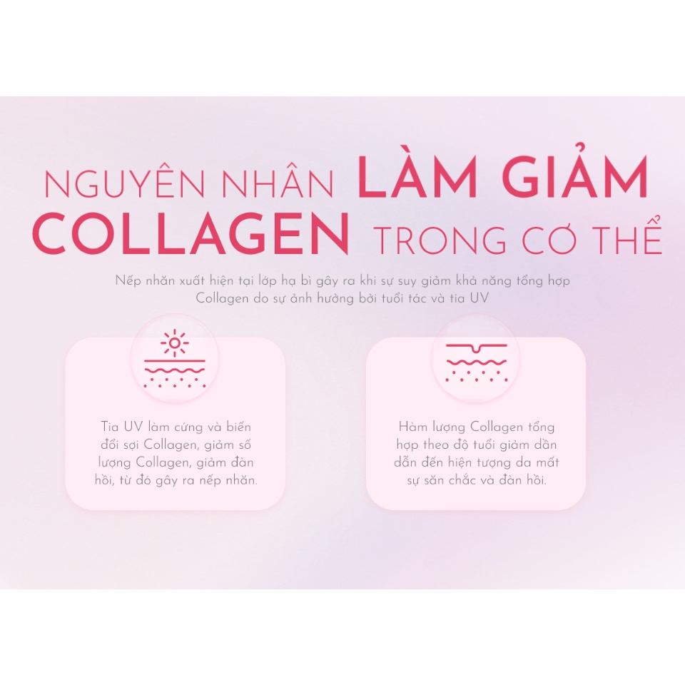 COMBO 30 chai Collagen nội địa Nhật Bản Alfe White Pro 50ml/chai - Placenta tinh khiết 200mg dưỡng trắng, làm mịn da