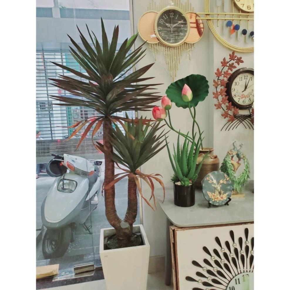 CÂY GIẢ, CÂY PHÁT TÀI 2 NHÁNH HUYẾT RỒNG CAO 1,35M TRANG TRÍ DECOR NHÀ CỬA BỀN ĐẸP