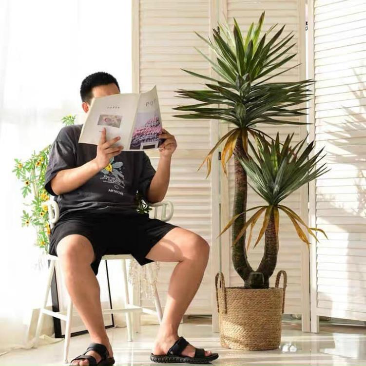 CÂY GIẢ, CÂY PHÁT TÀI 2 NHÁNH HUYẾT RỒNG CAO 1,35M TRANG TRÍ DECOR NHÀ CỬA BỀN ĐẸP