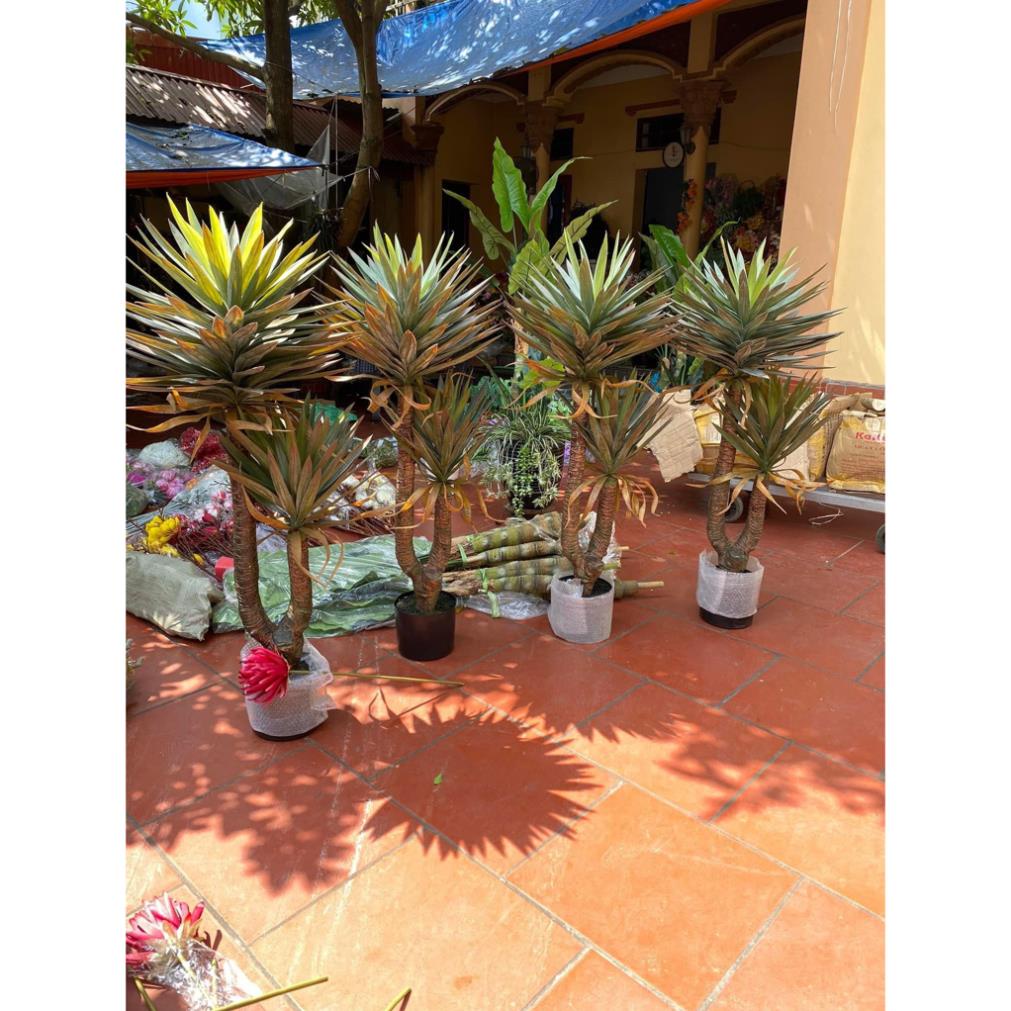 CÂY GIẢ, CÂY PHÁT TÀI 2 NHÁNH HUYẾT RỒNG CAO 1,35M TRANG TRÍ DECOR NHÀ CỬA BỀN ĐẸP