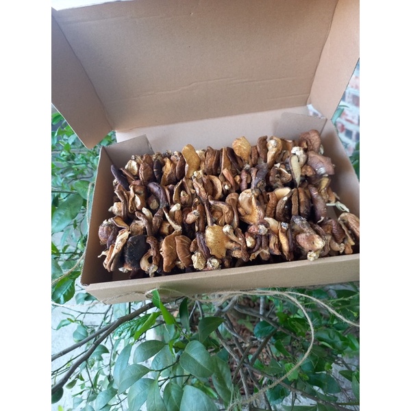 NẤM HƯƠNG RỪNG - CAO BẰNG