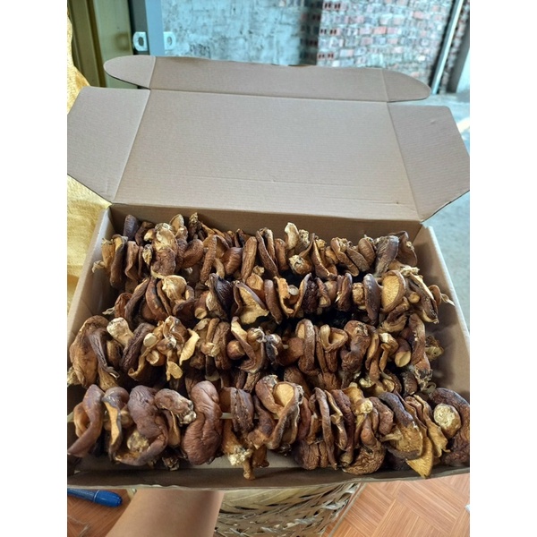 NẤM HƯƠNG RỪNG - CAO BẰNG