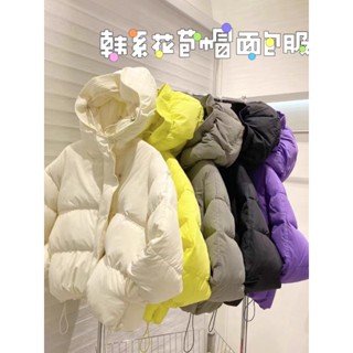 Áo khoác phao có mũ phong cách trẻ trung cao cấp, áo phao quảng châu cao cấp, áo phao lông vũ mùa đông hót