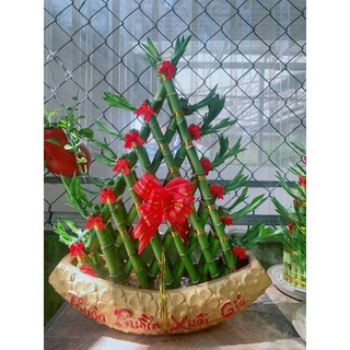 Chậu Thuyền Thuận Buồm Xuôi Gió Size Đại
