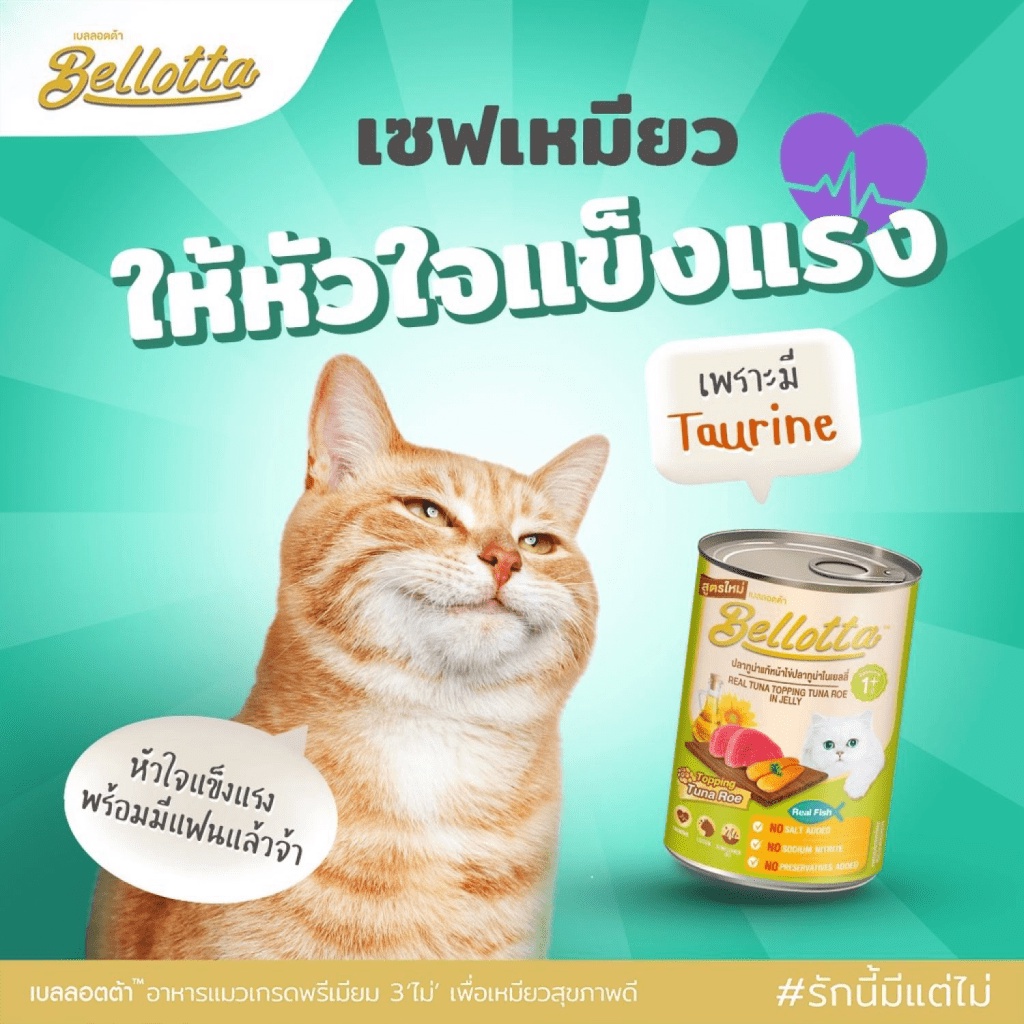 Pate Bellotta lon 400g ThaiLand  FREE SHIP  Thức Ăn Cao Cấp Nhập Khẩu Cho Mèo