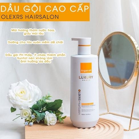 Olexrs Luxury Hair Salon - Cặp Dầu Gội Xả Olexrs Luxury Hair Salon 960ml Dưỡng Tóc Mềm Mượt Phục Hồi  Tóc Hư Tổn
