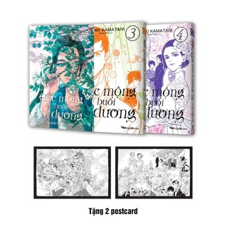 Sách - boxset giấc mộng buổi tà dương 3&4